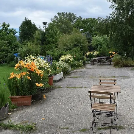 Casa Miguel Apartment Olea