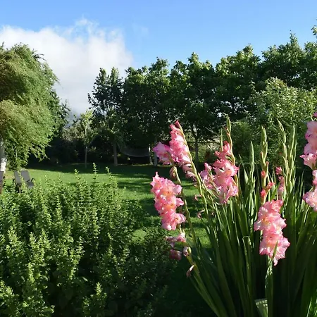 Casa Miguel Apartment *