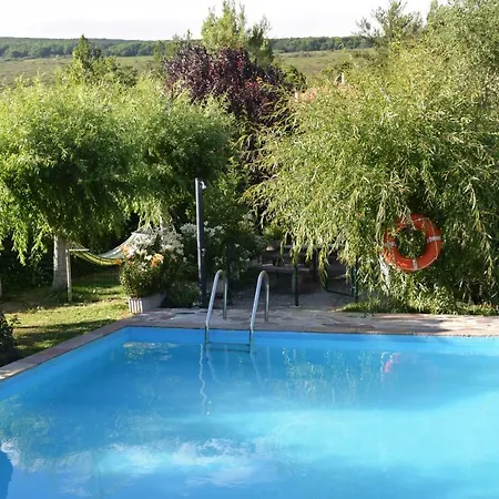 Apartment Casa Miguel *