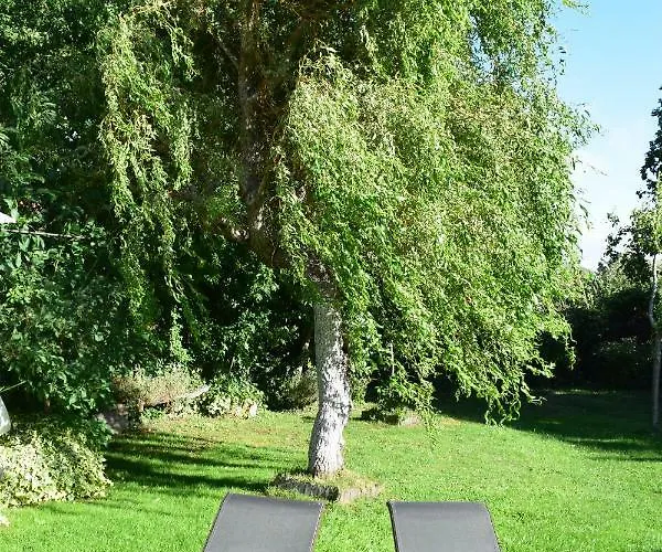 Casa Miguel アパート *