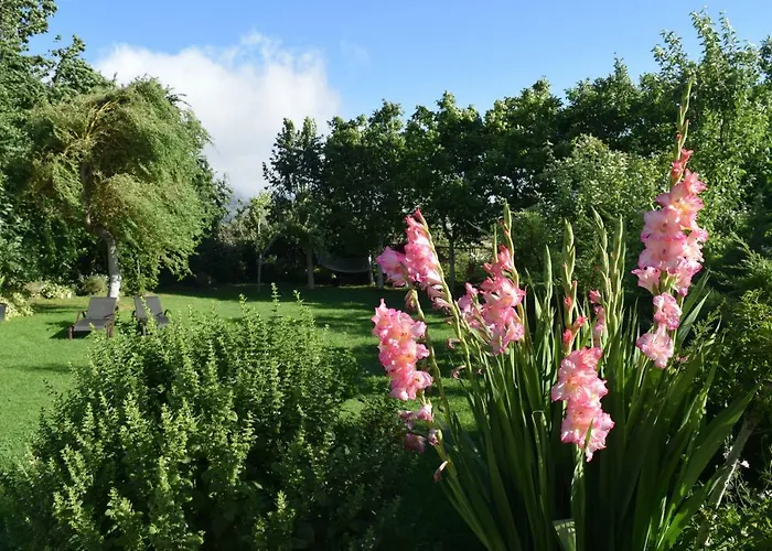 Casa Miguel Apartment *