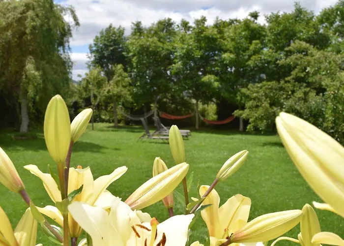 Casa Miguel アパート